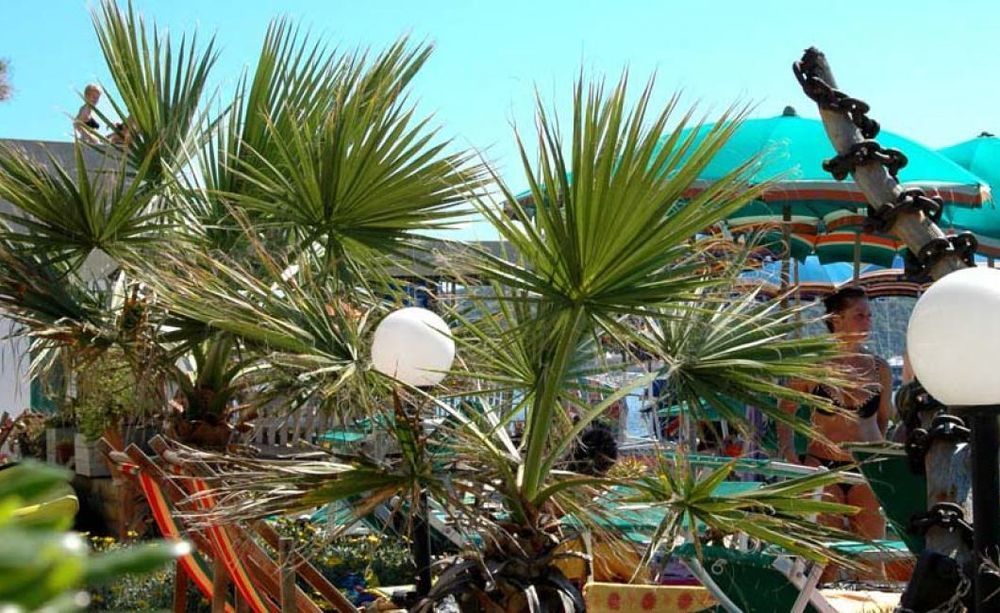 Hotel Esperia Пьомбино Экстерьер фото